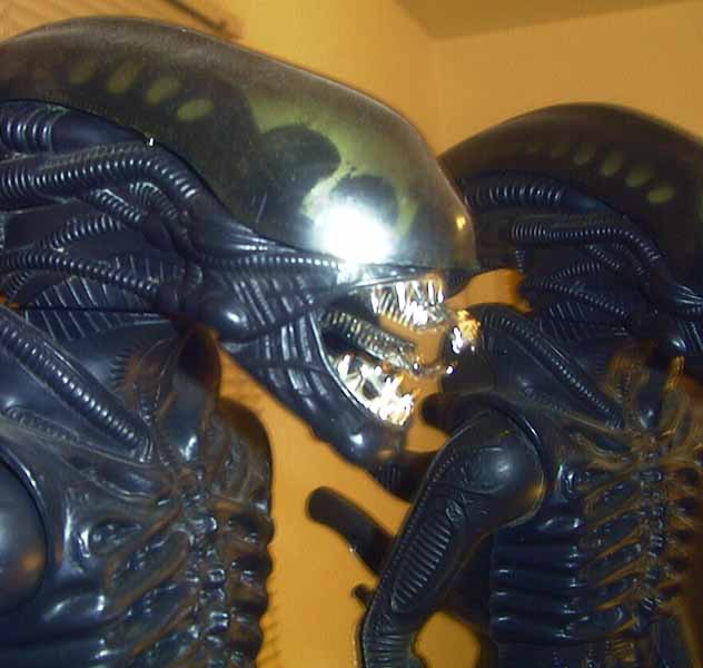 Close up shot of the mouth