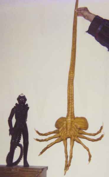 Old crappy picture with 18 inch Kenner