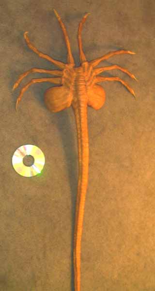 Facehugger w/ CD