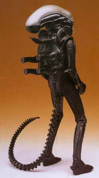 Rear View (Picture on box)