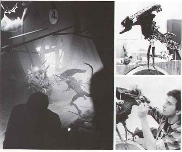 Minature Queen. I could never tell it was