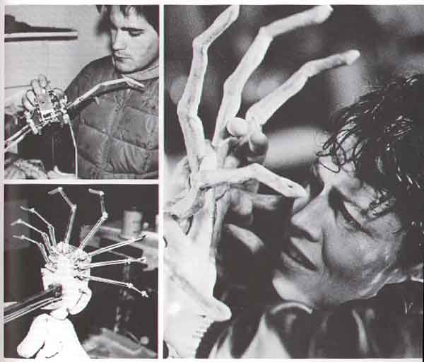 Mechanics of the Facehugger